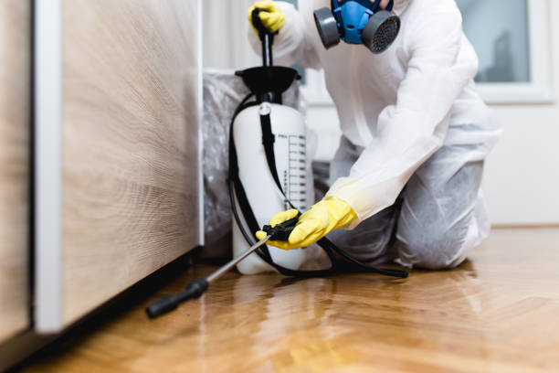 Best Commercial Pest Control Services  in Durant, OK