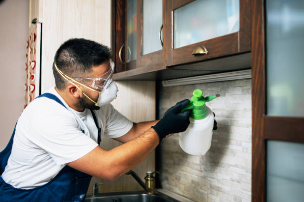Best Bed Bug Extermination  in Durant, OK