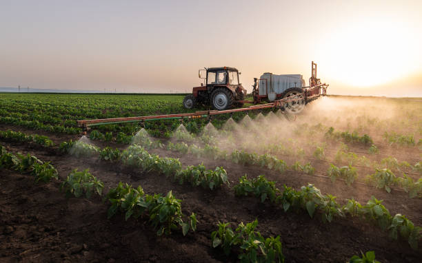 Best Best Pest Control Companies  in Durant, OK
