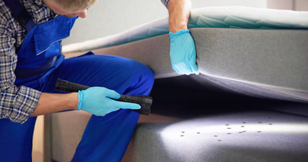 Best Pest Prevention Services  in Durant, OK