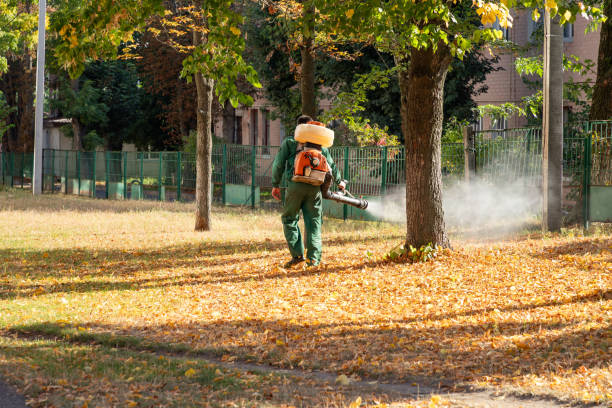 Best Rat Extermination Near Me  in Durant, OK
