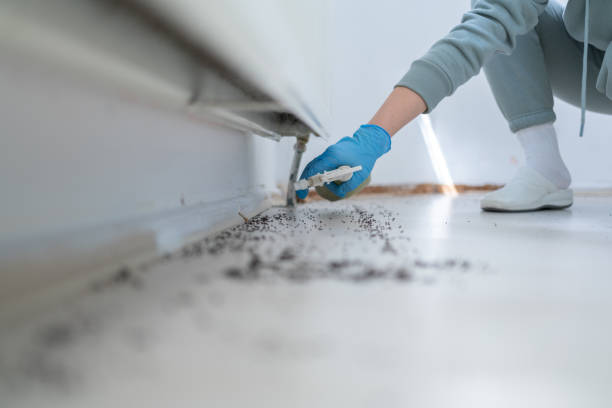 Best Pest Removal Services  in Durant, OK
