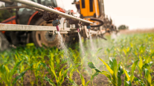 Best Mosquito Control Services  in Durant, OK