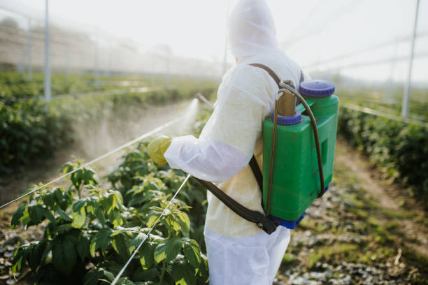 Best Pest Prevention Services  in Durant, OK